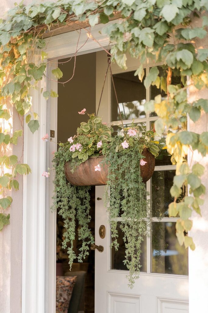 Hanging planter with pink flowers and vines at a sunlit door, enhancing entryway charm with greenery.