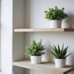 indoor plant shelf display